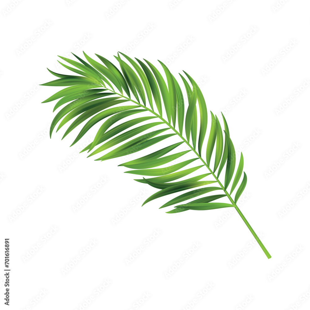 tropical leaf elements tropical leaf elements