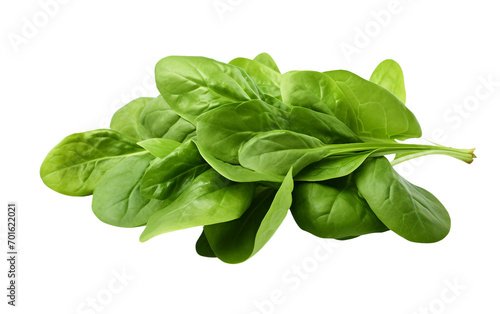 Spinach Plant On Transparent Background.