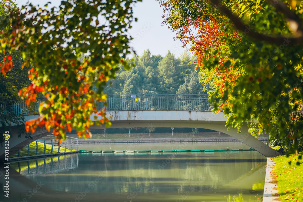 Obraz premium The colorful trees in autumn