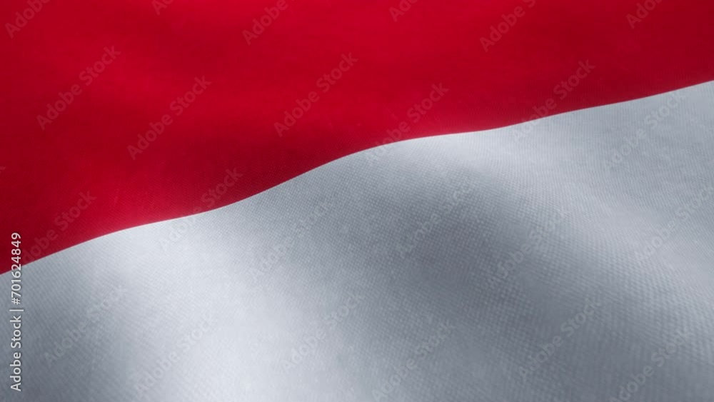Video animation of a waving Monegasque national flag in a seamless loop. Video animation of a waving Monegasque national flag in a seamless loop.