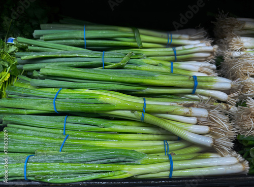 bunches of scallions 