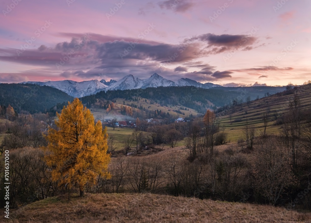 Beautiful autumn rural landscape. Orange and yellow European larch tree on the hills in the Slovak Tatra Mountains. Photo taken in Osturna, Slovakia. Beautiful autumn rural landscape. Orange and yellow European larch tree on the hills in the Slovak Tatra Mountains. Photo taken in Osturna, Slovakia.