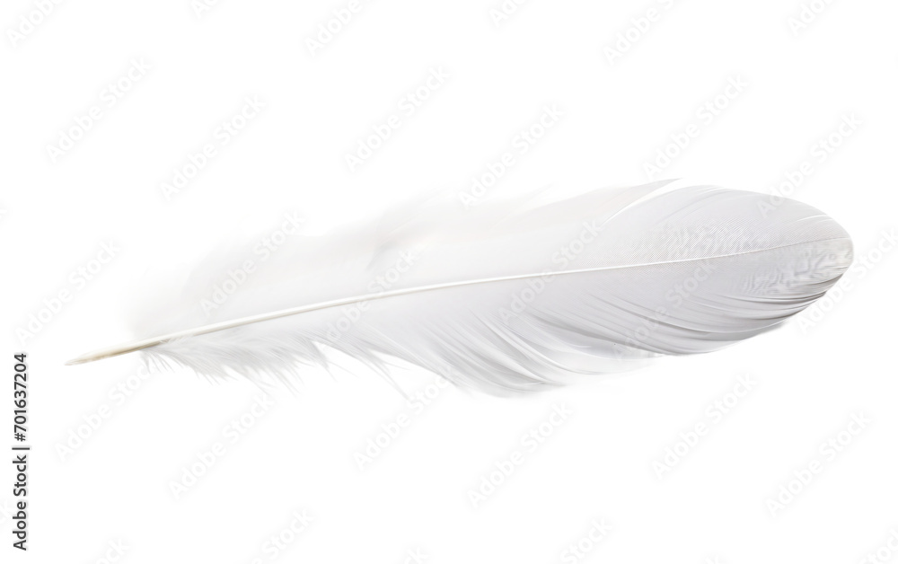 Feather On Transparent Background.
