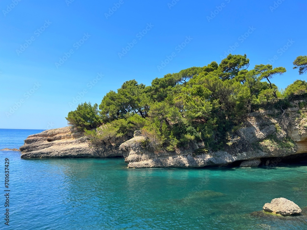 Sea bay with rocks overgrown pine trees, coastal cave and clear turquoise blue water. 
