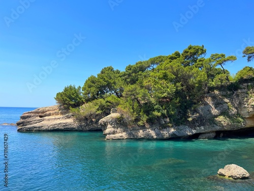 Sea bay with rocks overgrown pine trees, coastal cave and clear turquoise blue water.  © OLENA