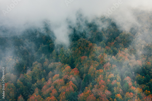 Orange tree of mountains in Autumn season aerial shoot