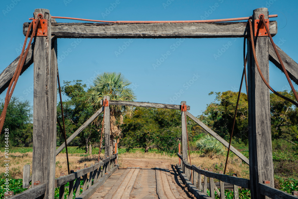 Fototapeta premium bridge over the river