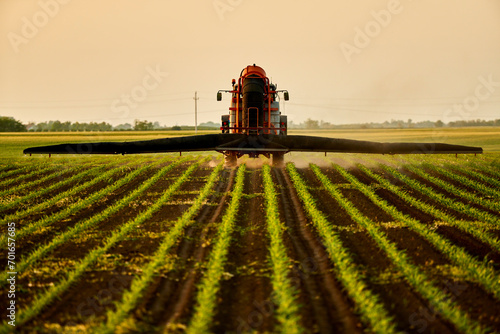 Tractor spraying fertilizer on corn crops in field under sky at sunset photo