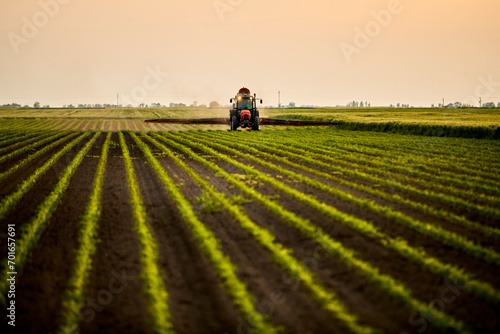 Tractor spraying fertilizer on corn field at sunset under sky photo