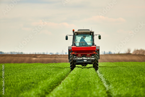 Farmer in tractor fertilizing wheat field photo