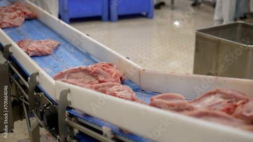 Meat processing in the food industry. Raw meat on a conveyor belt. Meat is transported on a conveyor belt of an industrial enterprise. Fresh raw chops at a meat processing plant.