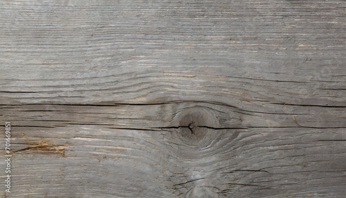 Gray wood texture. Abstract background