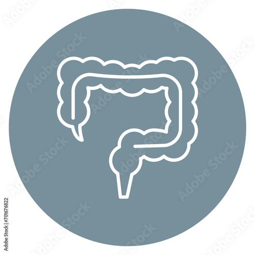 Large Intestine Line Icon