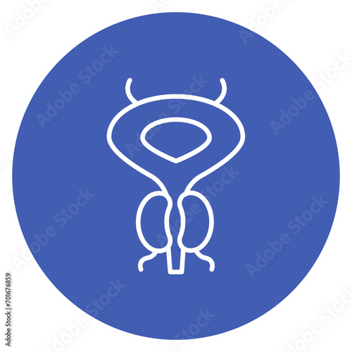 Prostate Line Icon