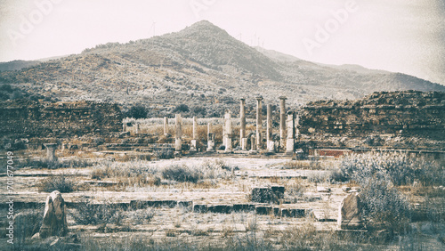 Ancient Ionic city of Magnesia on the Meander (Menderes). Scenic ruins, mountain at background. Old film stylization. Aidin, Turkey (Turkiye) photo