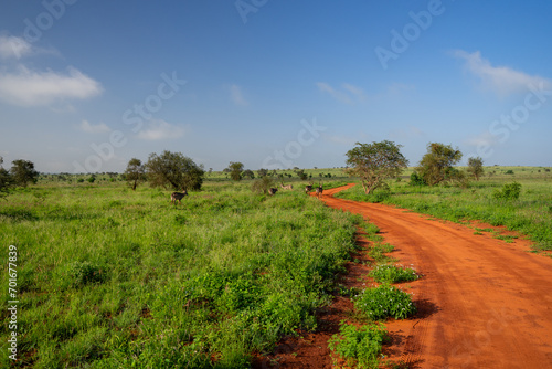 Kenia Africa national park