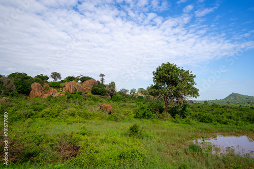 Kenia Africa national park