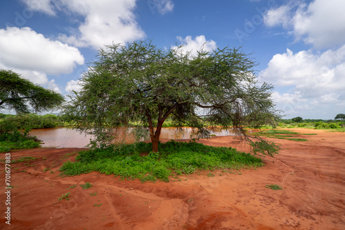 Kenia Africa national park