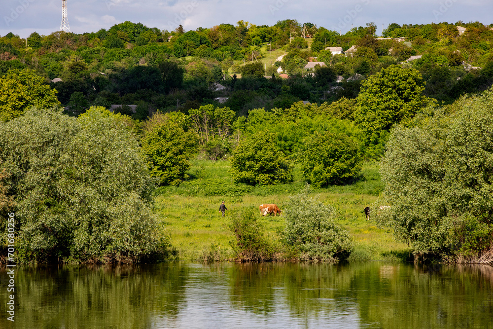 View of a Dniestr river bank in Ukraine from Soroca, Moldova