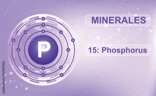 Scheme of the electron shell of the mineral and macroelement P, Phosphorus, element 15 of the periodic table of elements. Abstract purple background. Information poster.