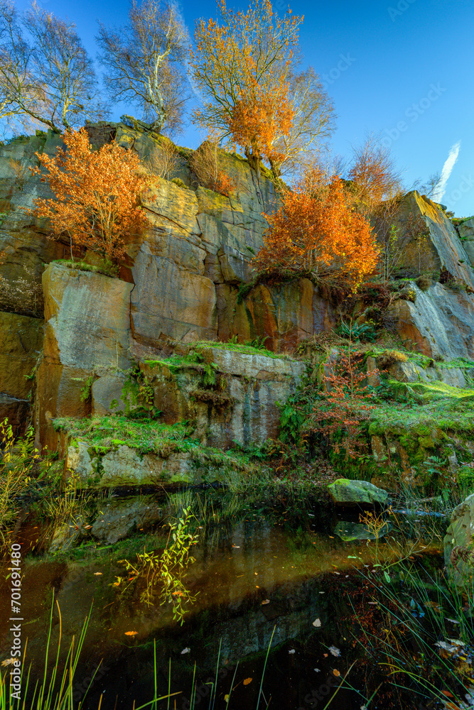 autumn in the forest and rock