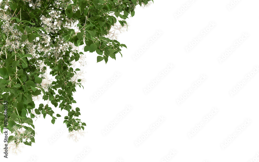 Obraz premium green leaves border