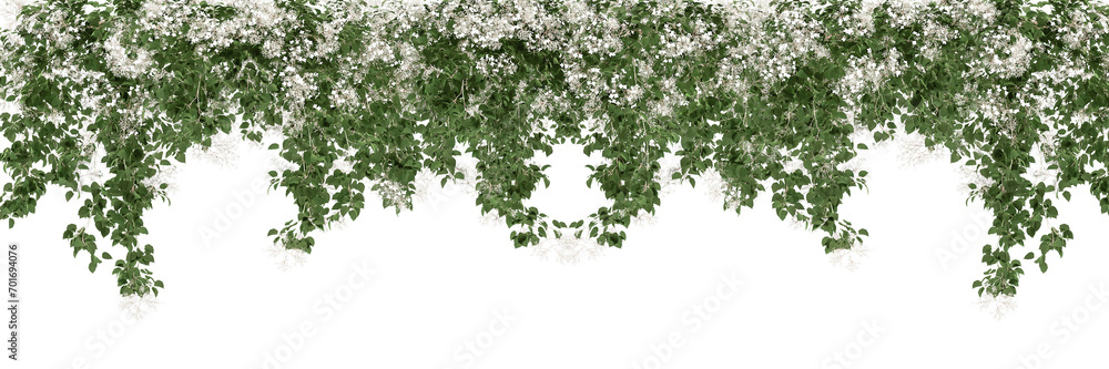 grass isolated on white background grass isolated on white background