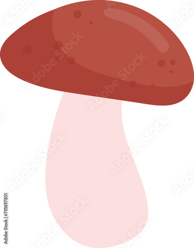 White Mushroom Plant