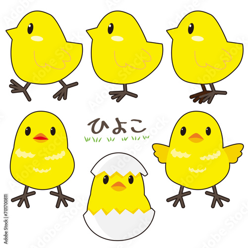 可愛いひよこのイラスト素材セット