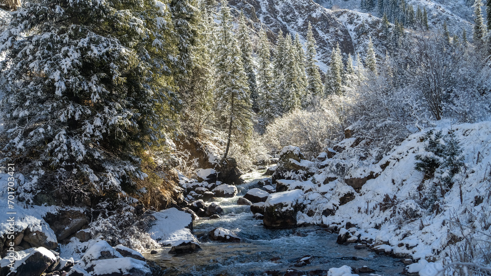 a stream in the winter forest. a stormy mountain river a stream in the winter forest. a stormy mountain river