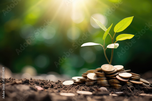 A visual metaphor for economic development, this picture presents a green plant growing on coins, set in a natural environment, depicting the harmony of ecology and finance.