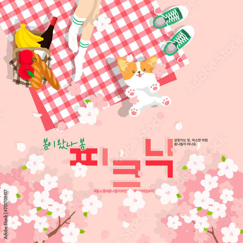벗꽃 피는 봄날 피크닉