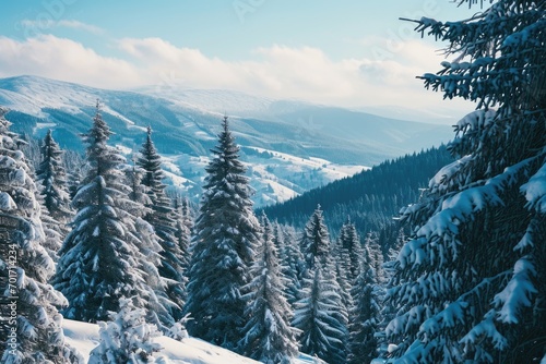 A scenic view of a snowy mountain range with tall pine trees. Perfect for winter-themed designs and nature-inspired projects © Fotograf