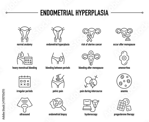 Endometrial Hyperplasia symptoms, diagnostic and treatment vector icons. Line editable medical icons.