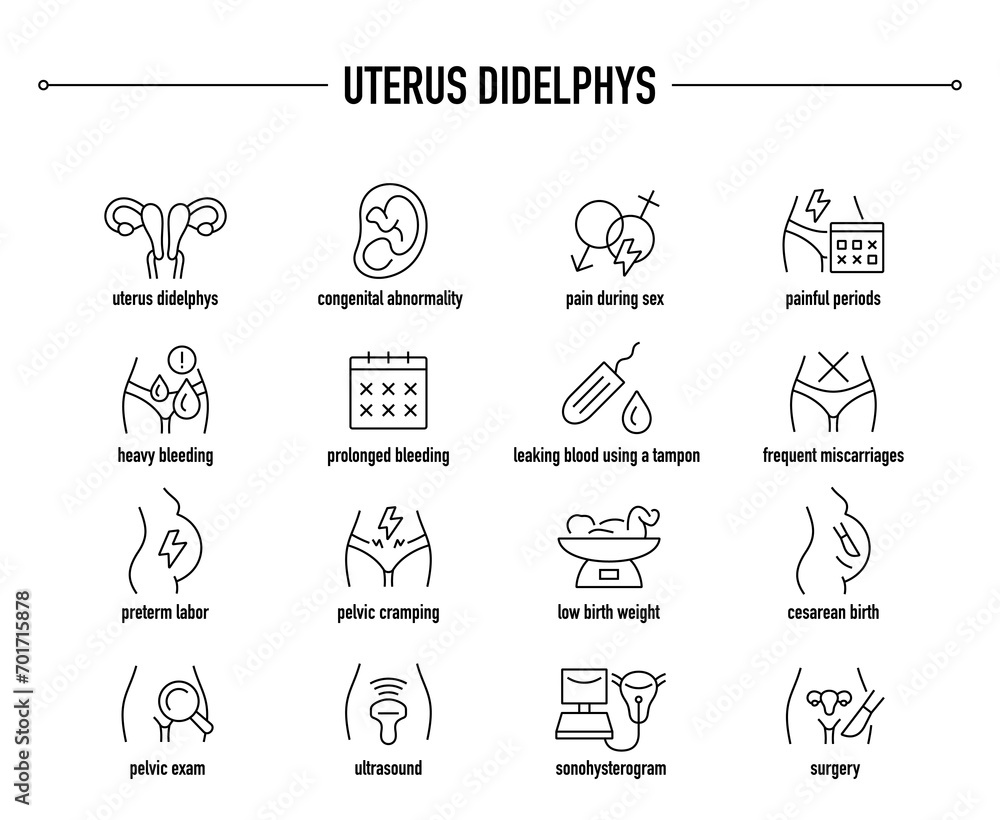 Uterus Didelphys symptoms, diagnostic and treatment vector icons. Line editable medical icons.	