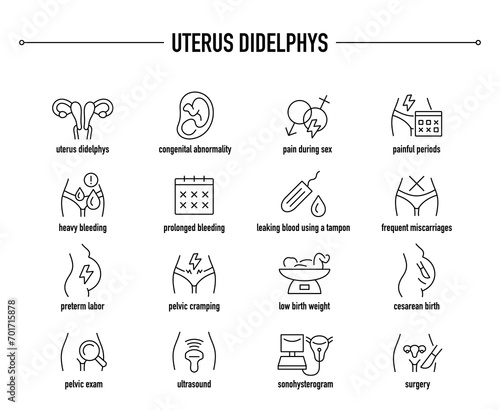 Uterus Didelphys symptoms, diagnostic and treatment vector icons. Line editable medical icons. 