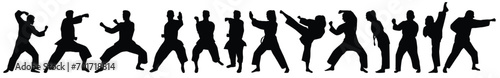 Silhouette of martial art. Kungfu  karate  taekwondo