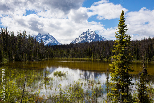 Summer landscape in Jasper National Park, Canada