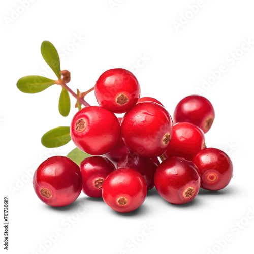 Cranberry on isolate transparency background, PNG
