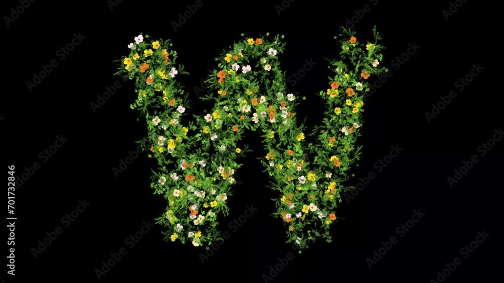 English alphabet W with grass and colorful flowers on plain black background English alphabet W with grass and colorful flowers on plain black background
