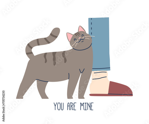 Cat Expresses Affection Through Leg Rubbing, Marking Territory And Showing Trust. This Behavior Signifies Comfort