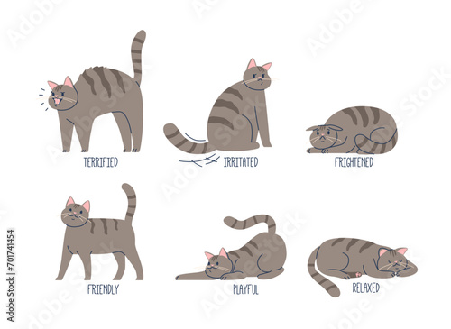 Language Of Cats. Friendly, Playful and Relaxed. Terrified, Frightened and Irritated N Nonverbal Expressions