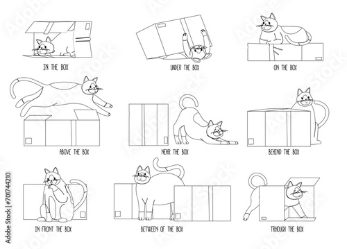 Learning Positions In Space, Educational Visual for Kids with Cute Cat Pet Near, Under, Behind, Between, On, In Front Of