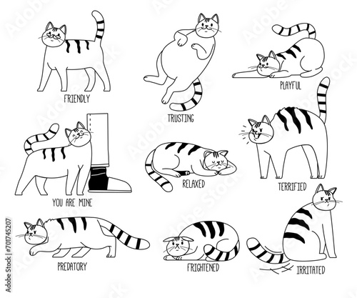 Language Of Cats. Friendly, Trusting, Playful and Relaxed. Terrified, Predatory, Frightened and Irritated Monochrome Set