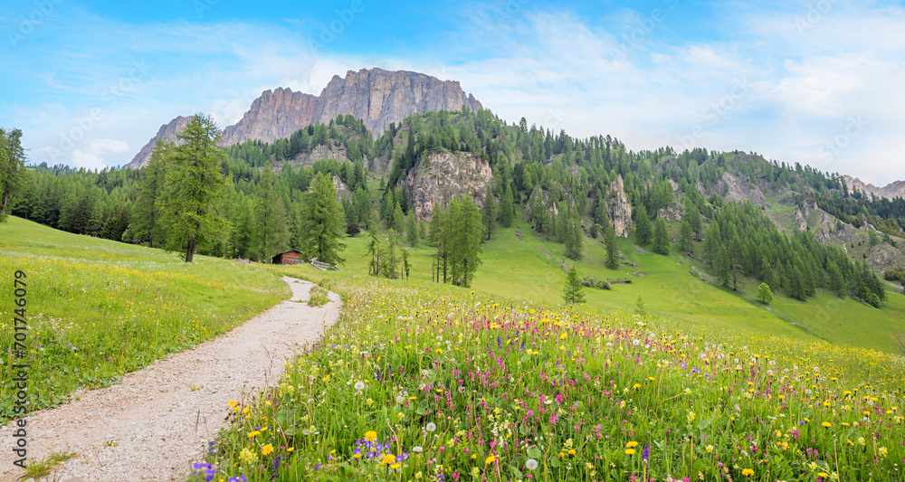 stunning spring landscape Colfosco, dolomites, with walkway and flower meadow.