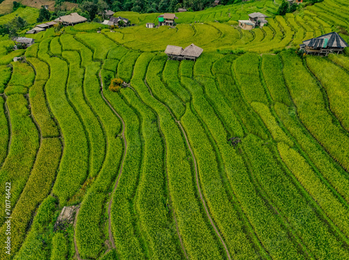 Landscape of green rice terraces amidst mountain agriculture. Travel destinations in Chiangmai, Thailand. Terraced rice fields. Traditional farming. Asian food. Thailand tourism. Nature landscape.