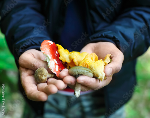 Mushrooms in a hands of a man photo