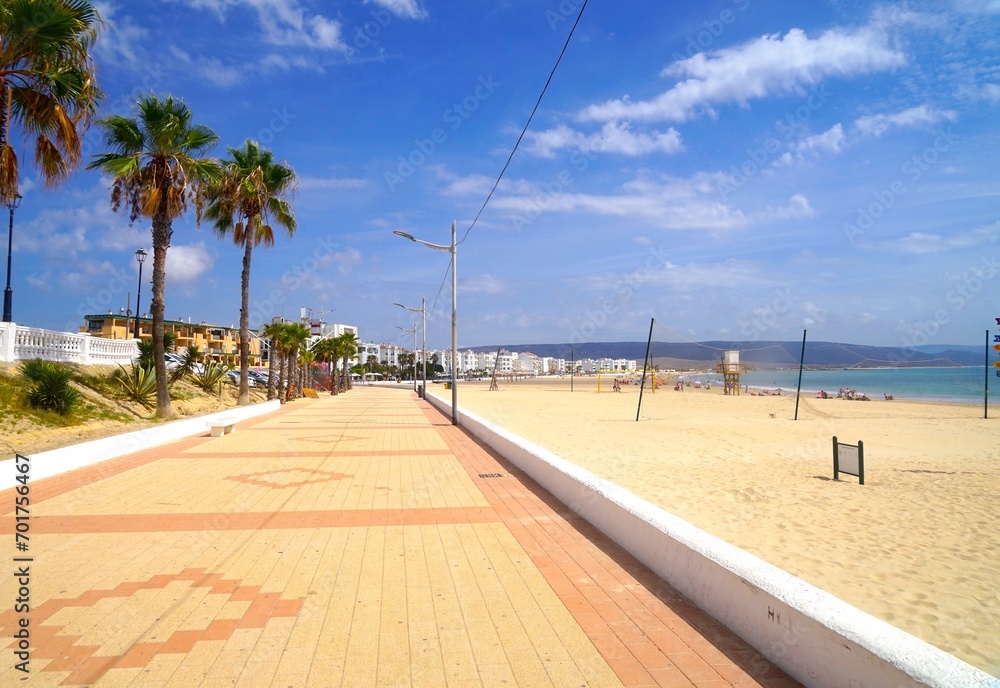 promenade with palms and beach in Barbate, Costa de la Luz, Andalusia, Spain