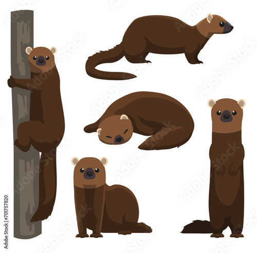 Cute Animal Fisher Cartoon Vector Illustration
