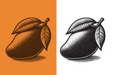Mango fruit. Beautiful engraving monochrome vector illustration. Icon, logo, isolated object